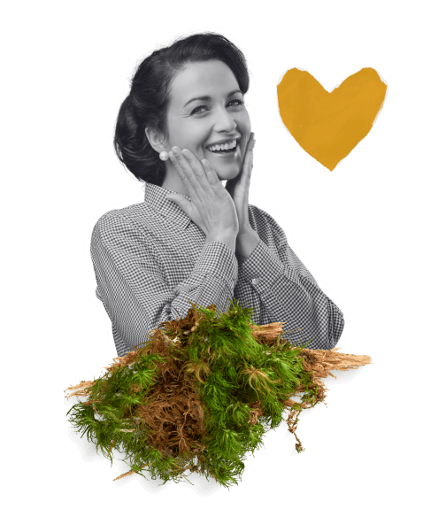 Decorative illustration for the newsletter section