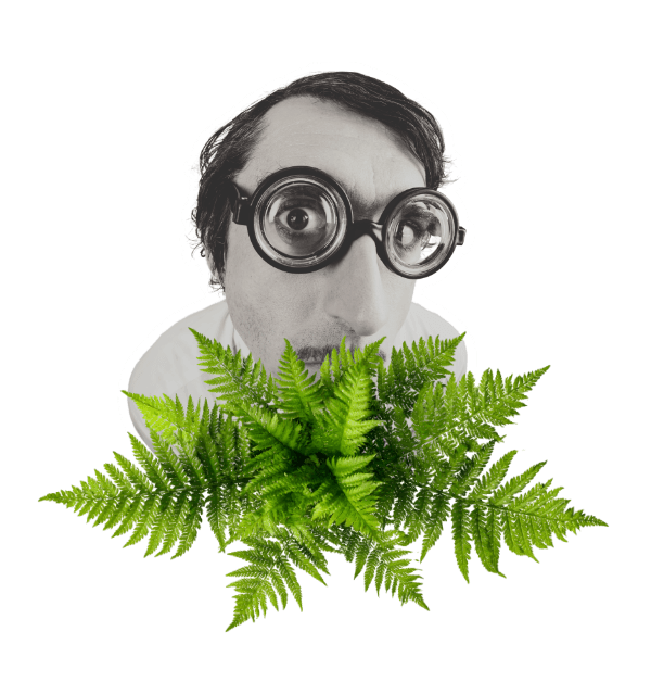 Decorative illustration representing visibility and clarity